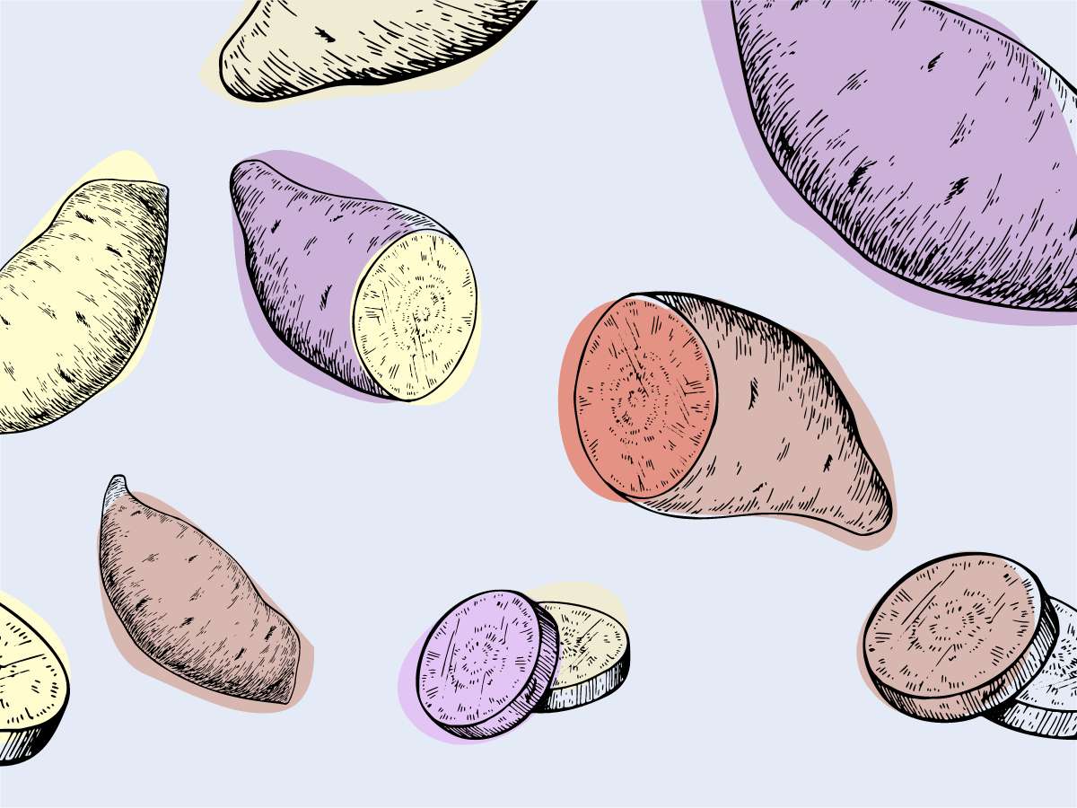 芋焼酎は品種で選ぼう！品種で勝負するおすすめクラフト芋焼酎