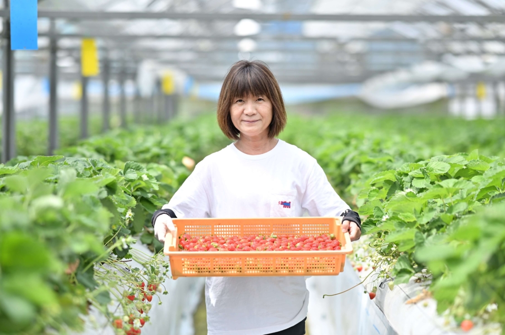 １．大隅半島の規格外素材を活用