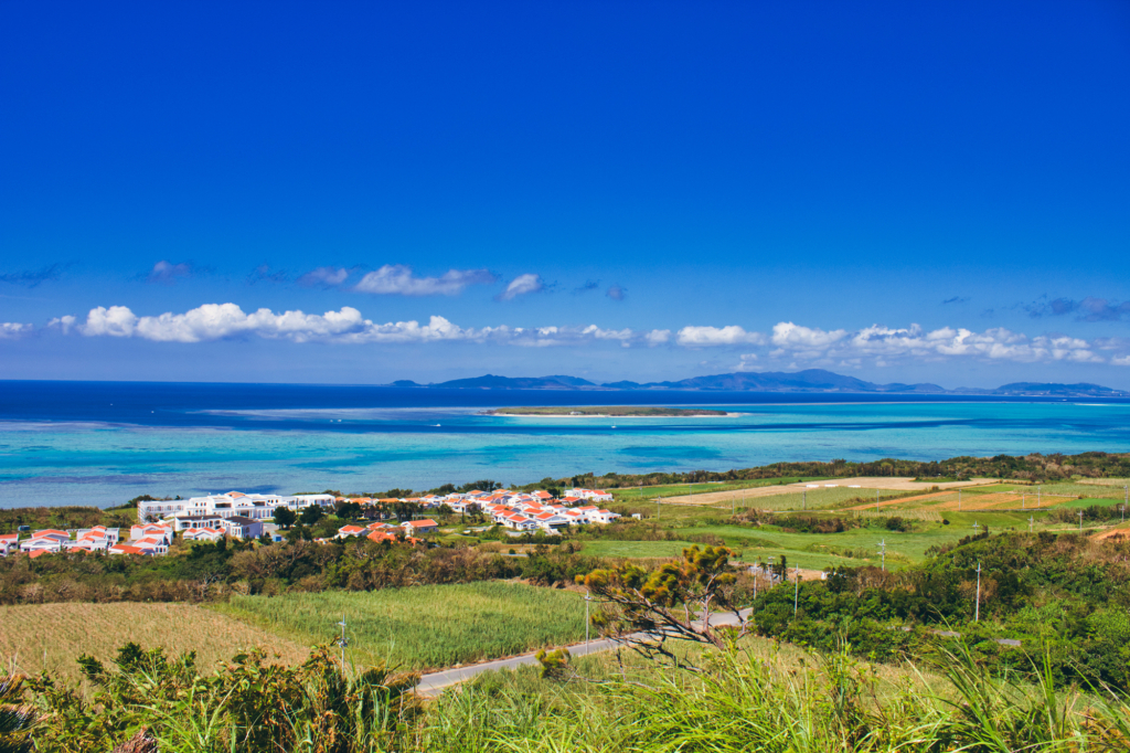 ONERUM PROJECTとは