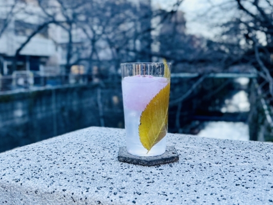 目黒川沿いの“飲める”蒸留酒セレクトショップ「&SPIRITS」 にて、桜を愛でながら蒸留酒を楽しむ企画「SAKURA &SPIRITS 2023」を開催！