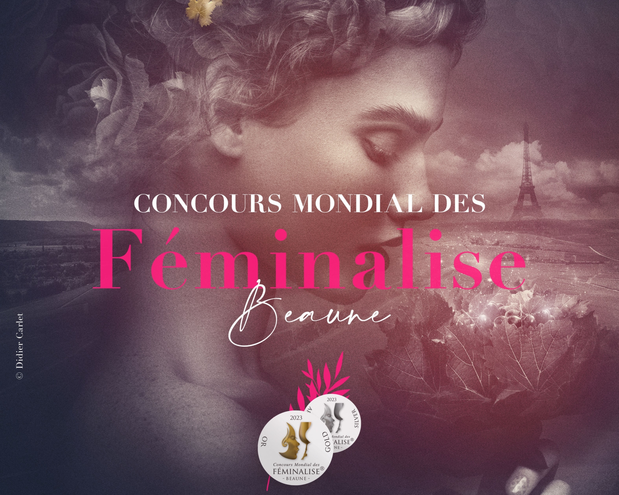 【速報】世界の女性ワイン専門家が審査「第17回フェミナリーズ世界ワインコンクール2023」@フランスで、日本のワイン・リキュール・日本酒・蒸留酒112アイテムが「金／銀」受賞！　