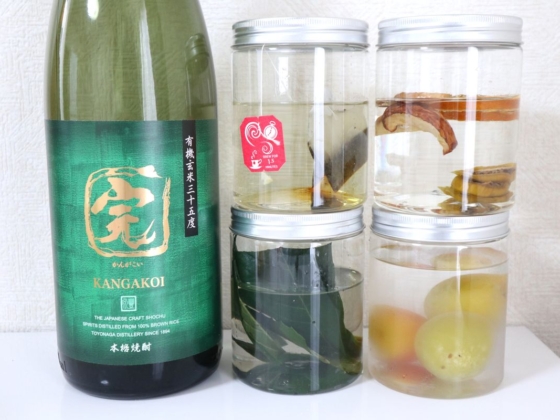 漬け込み焼酎にチャレンジ！味はどう変わる？